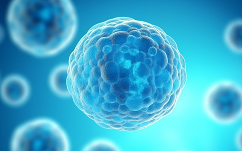 Stable Cell Line Development