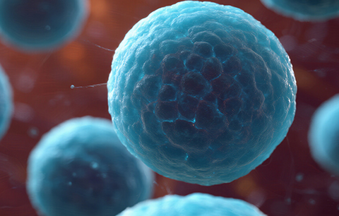 【 Good News 】Kebai Biology Reaches New Heights! Honored as a "2024 Jiangsu Province Gazelle Enterprise", shining on the Gazelle list for two consecutive years! 