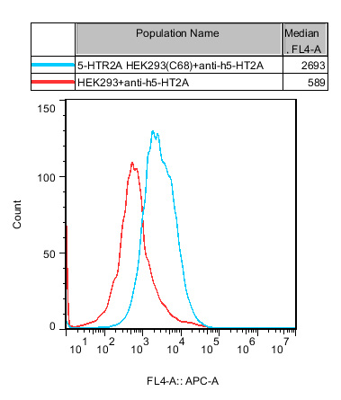 HEK293 Human 5-HTR2A Cell Line.jpg