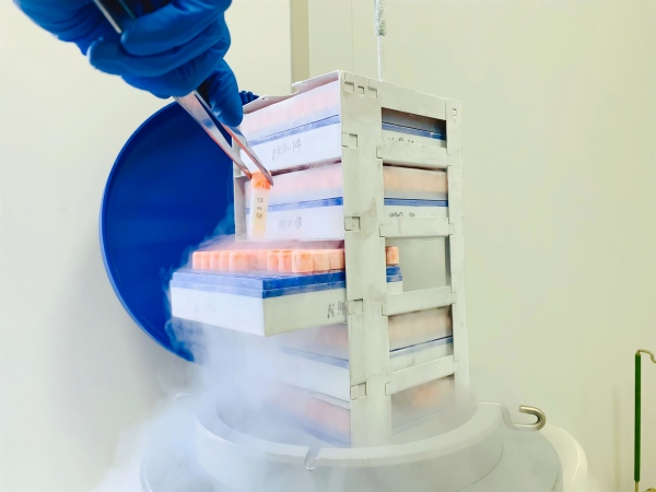 CHO-K1 Human NMBR(BB1) β-Arrestin Cell Line