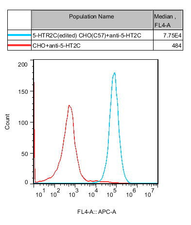 CHO-K1 Human 5-HTR2C (edited) Cell Line