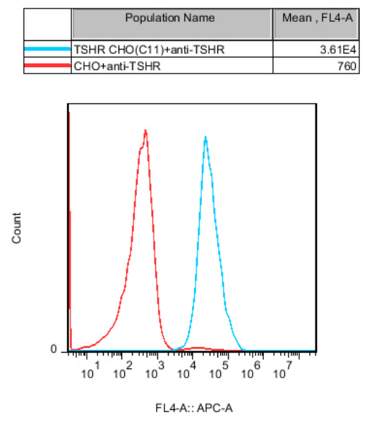 Recombinant TSHR CHO stably expressing TSHR..png