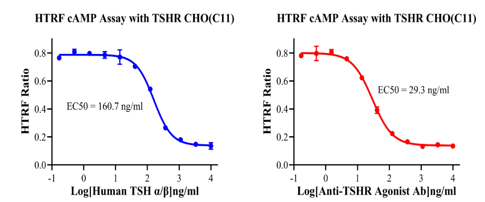 HTRF cAMP Assay with TSHR CHO(C11)..png