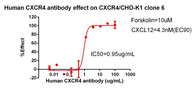 CHO-K1 Human CXCR4 Cell Line