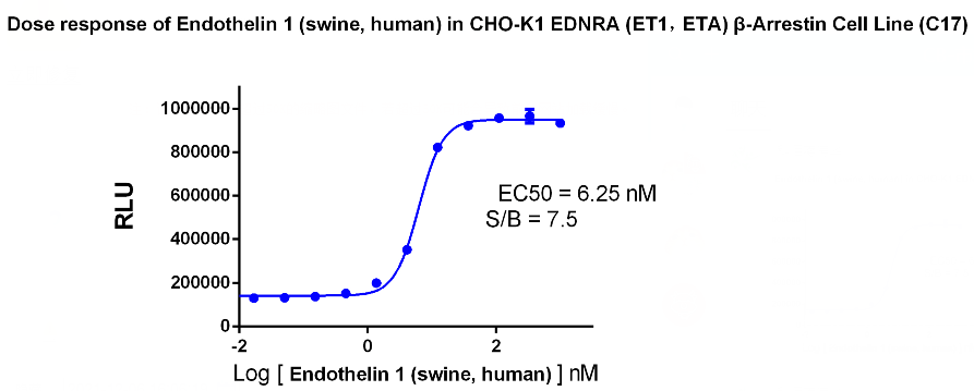 CHO-K1 Human EDNRA β-Arrestin Cell Line