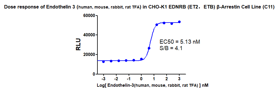 CHO-K1 Human EDNRB β-Arrestin Cell Line
