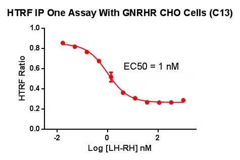 CHO-K1 Human GNRHR Cell Line