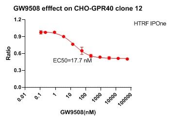 CHO-K1 Human GPR40 Cell Line