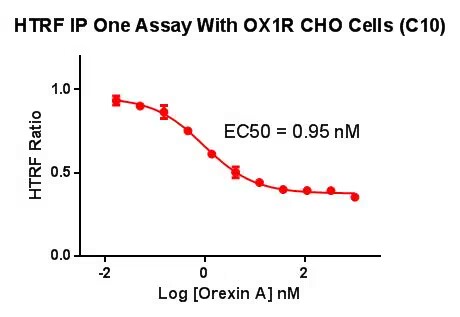 CHO-K1 Human OX1R Cell Line