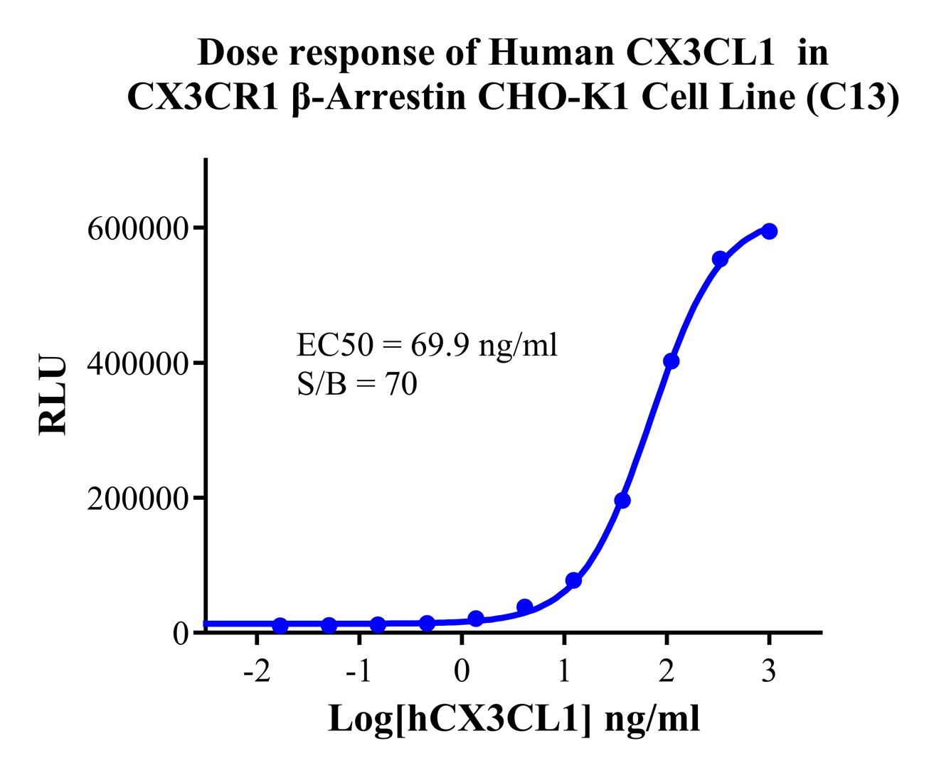 CHO-K1 Human CX3CR1 β-Arrestin Cell Line