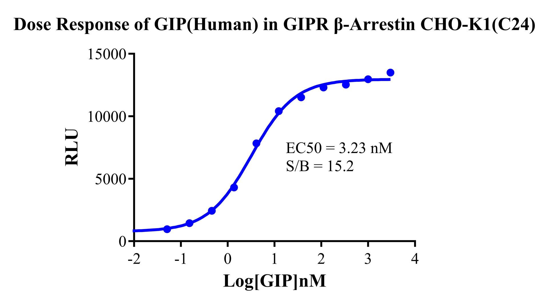 CHO-K1 Human GIPR β-Arrestin Cell Line