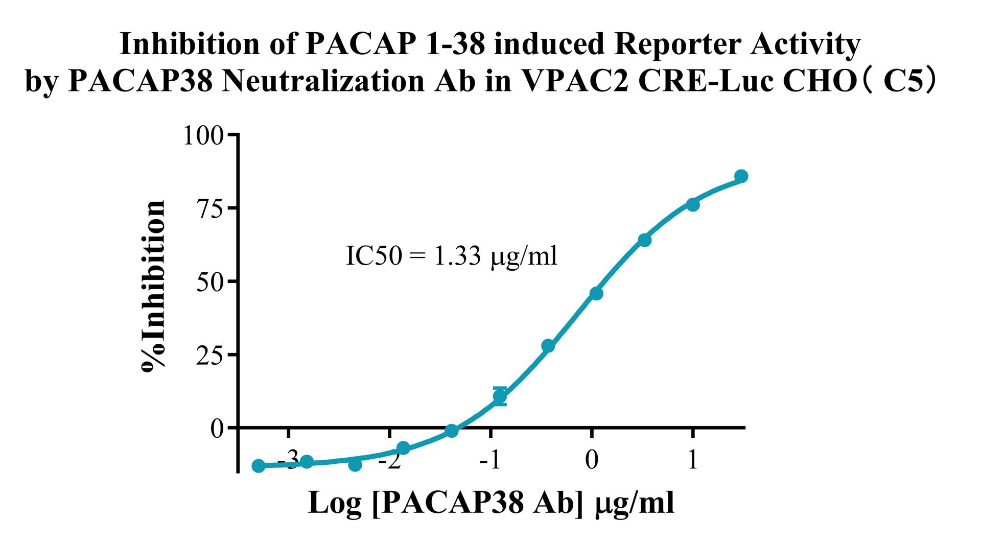 CHO-K1 Human VPAC2 CRE-Luc Cell Line