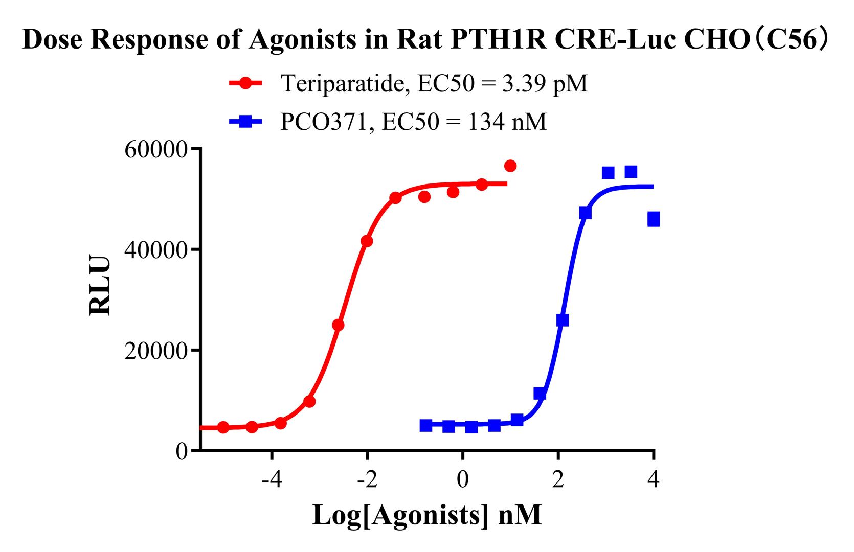 CHO-K1 Rat PTH1R CRE-Luc Receptor Cell Line