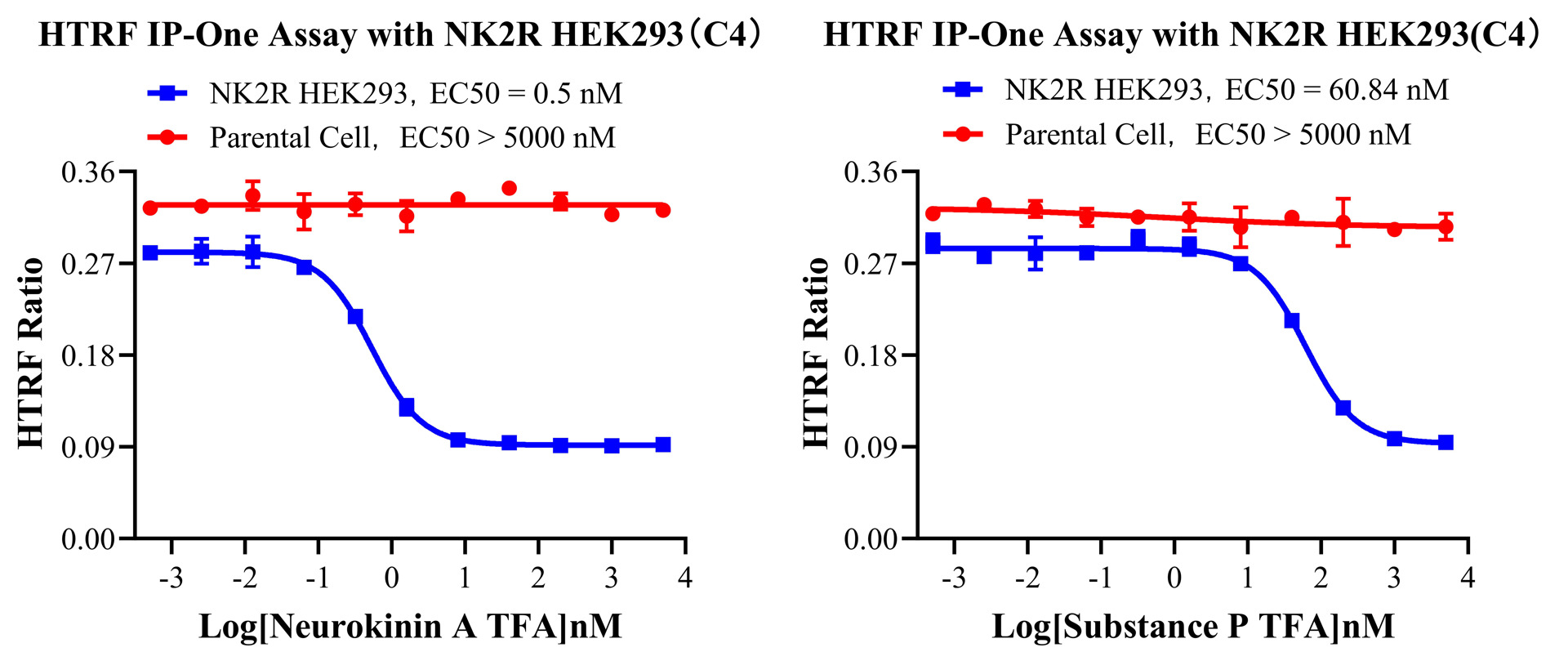 HEK293 Human NK2R Cell Line