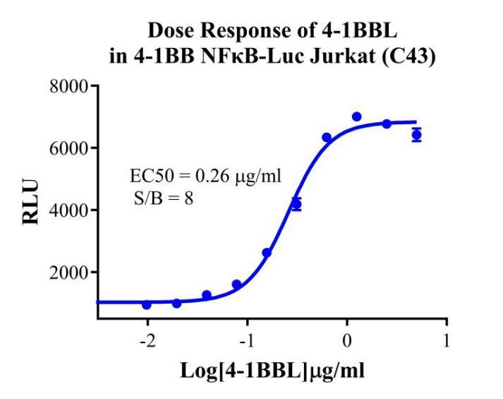 Jurkat E6.1 Human 41BB/NFκB-Luc Reporter Cell