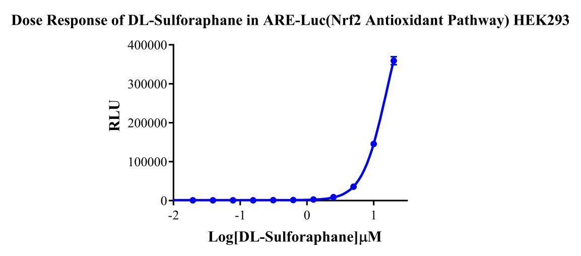 HEK293 Human ARE-Luc(Nrf2 Antioxidant Pathway) Reporter Cell