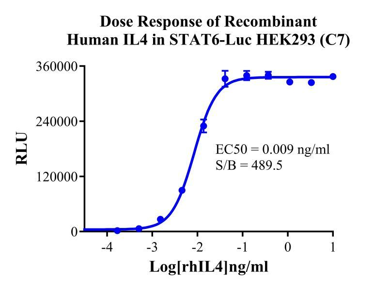 HEK293 Human STAT6-Luc Reporter Cell