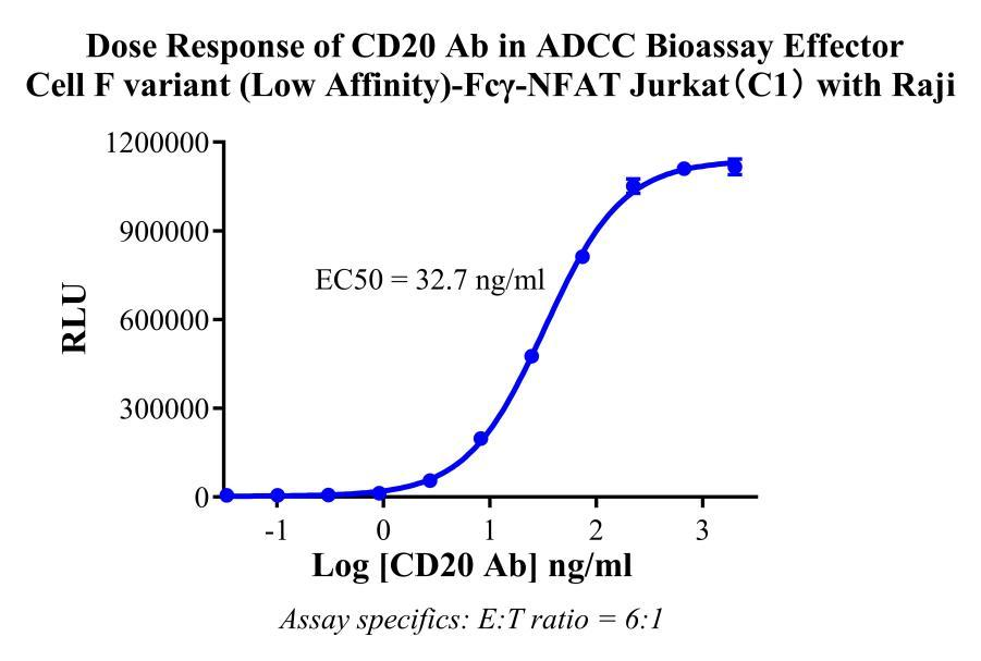 Jurkat E6.1 Human ADCC Bioassay Effector Cell F variant (Low Affinity)- Fcγ-NFAT Cell