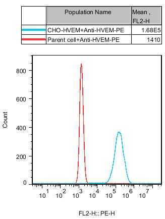 CHO-K1 Human HVEM Cell