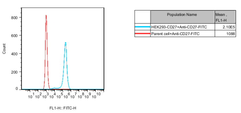 HEK293 Human CD27 Cell