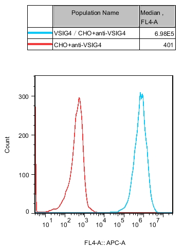 CHO-K1 Human VSIG4  Cell