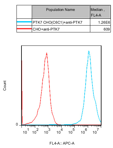 CHO-K1 Human PTK7 Cell