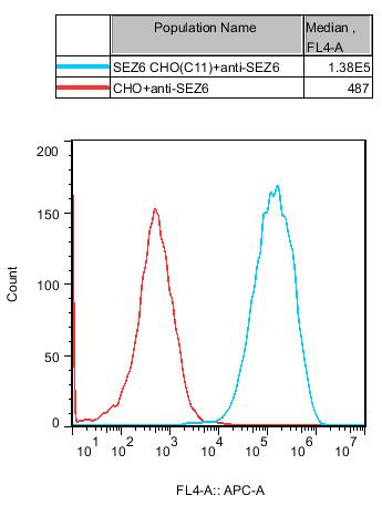 CHO-K1 Human SEZ6 Cell