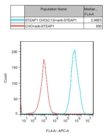 CHO-K1 Human STEAP1 Cell