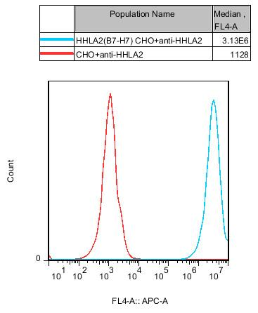 CHO-K1 Human HHLA2(B7H7) Cell