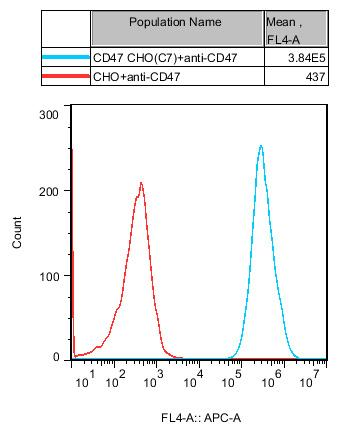 CHO-K1 Human CD47 Cell