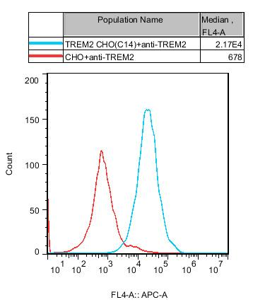 CHO-K1 Human TREM2 Cell