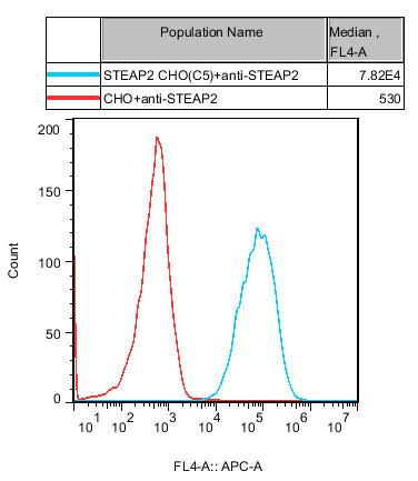 CHO-K1 Human STEAP2 Cell