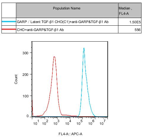 CHO-K1 Human GARP/Latent TGF-β1 Cell