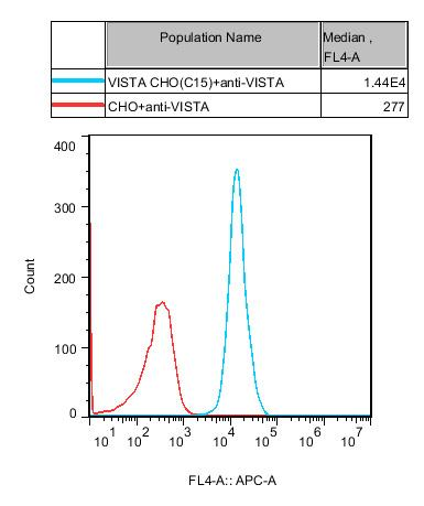 CHO-K1 Human VISTA Cell
