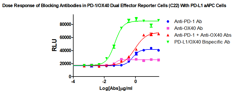 Raji Human PDL1 aAPC Cell