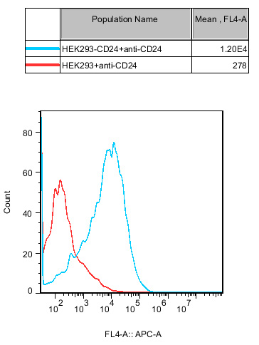 HEK293 Human CD24 Cell