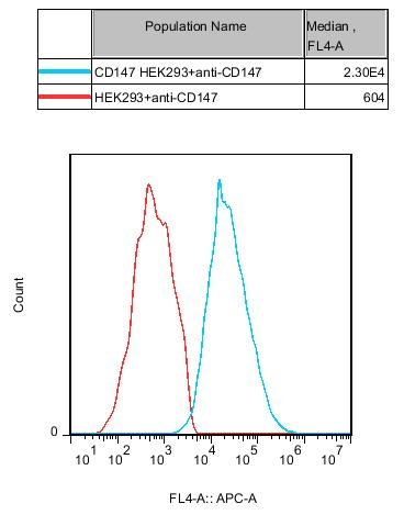 HEK293 Human CD147 Cell