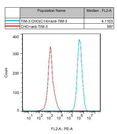 CHO-K1 Human TIM-3 Cell