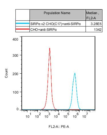 CHO-K1 Human SIRPα v2 Cell