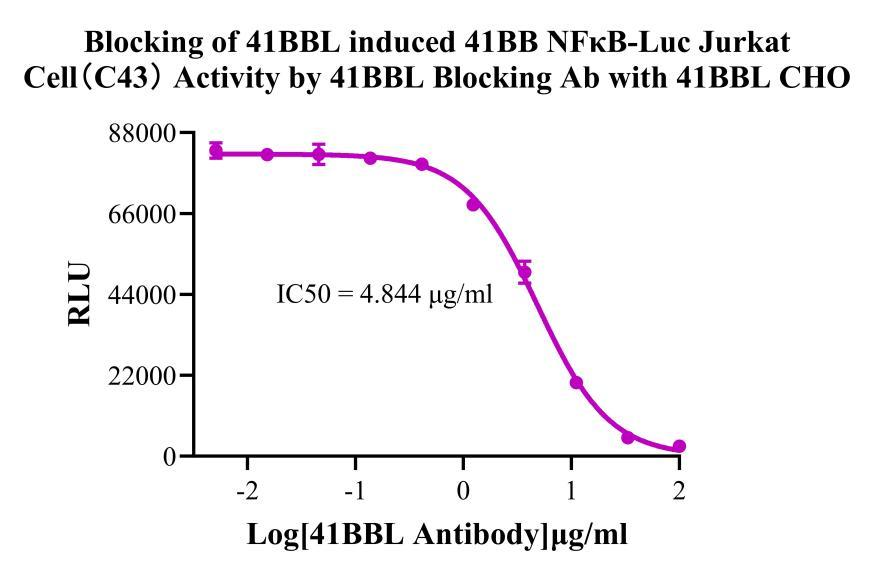 CHO-K1 Human 4-1BBL Cell