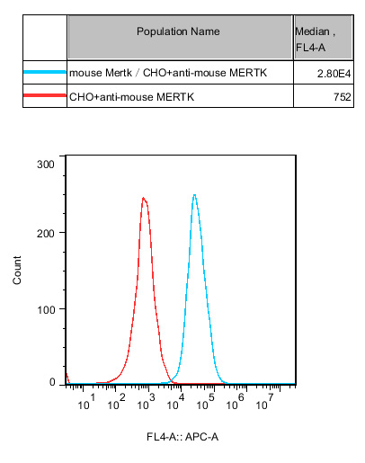 CHO-K1 Mouse MERTK Cell