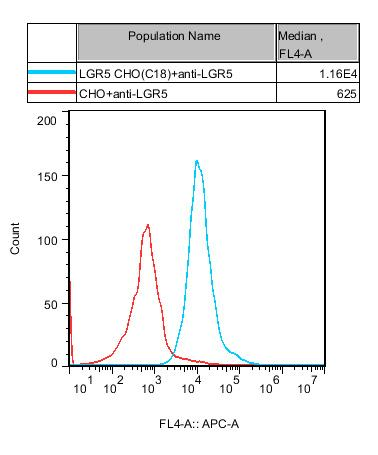 CHO-K1 Human LGR5 Cell