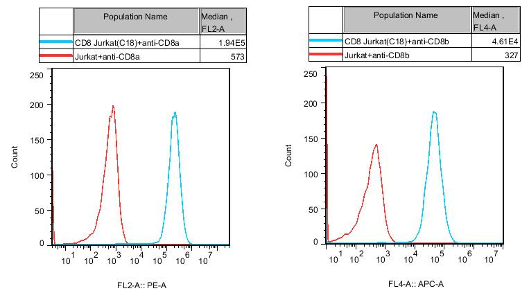 Jurkat E6.1 Human CD8 Cell