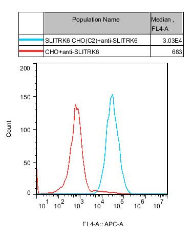 CHO-K1 Human SLITRK6 Cell