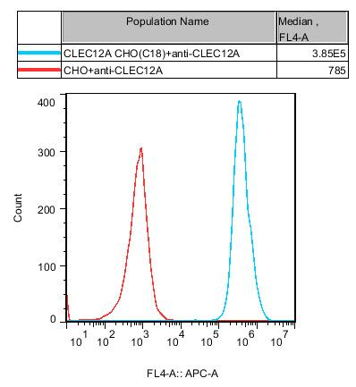CHO-K1 Human CLEC12A Cell