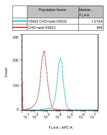 CHO-K1 Human VSIG3 Cell