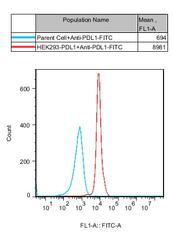 HEK293 Human PDL1 Cell