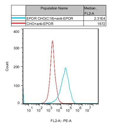 CHO-K1 Human EPOR Cell