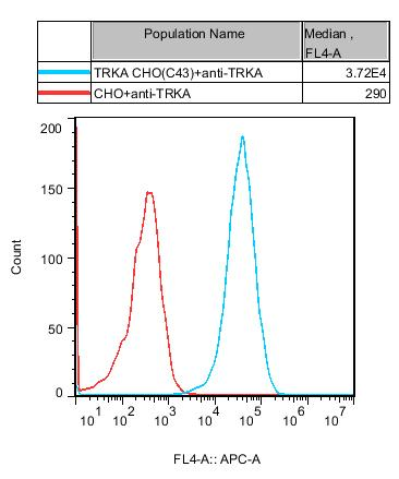 CHO-K1 Human TRKA Cell