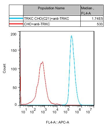CHO-K1 Human TRKC Cell